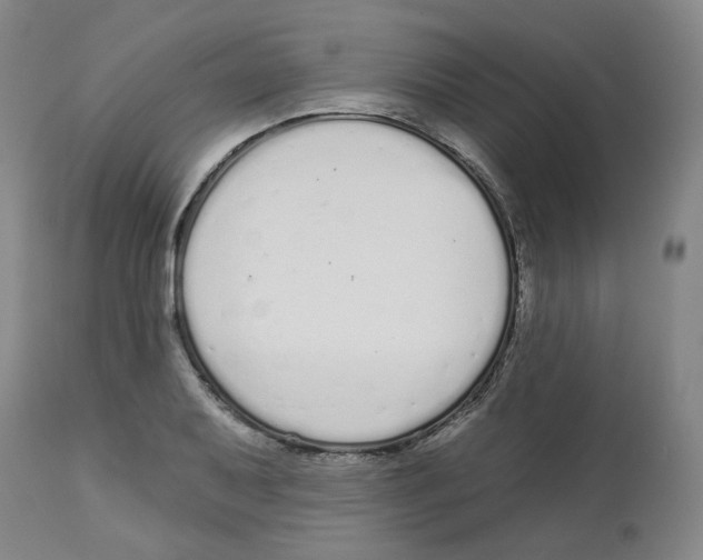 X0000112721079200909171059