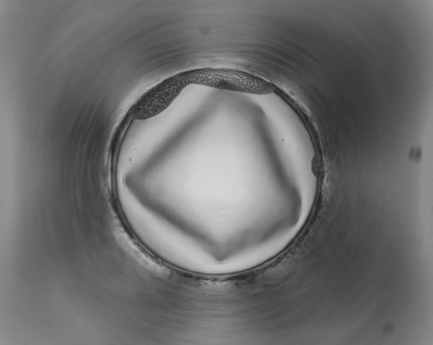 X0000112721080200909171059