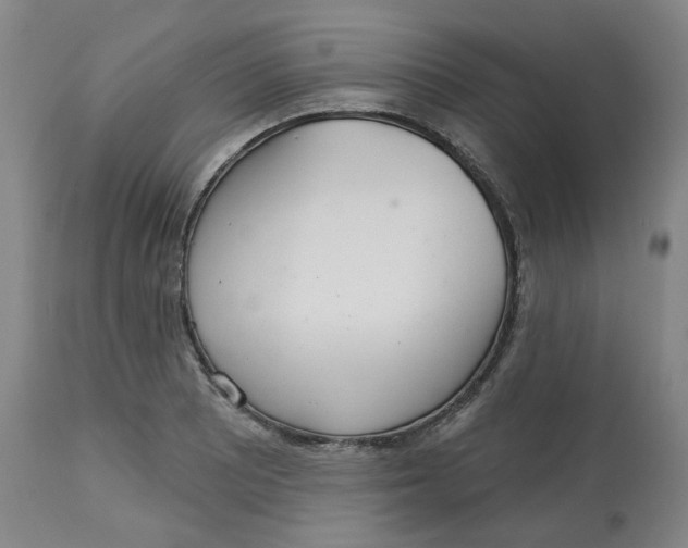 X0000112721081200909171059