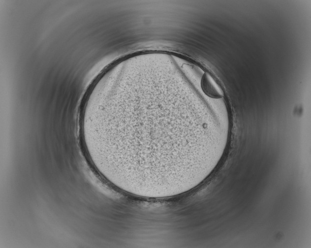 X0000112721082200909171059