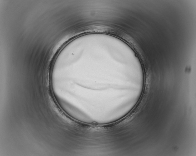 X0000112721083200909171059