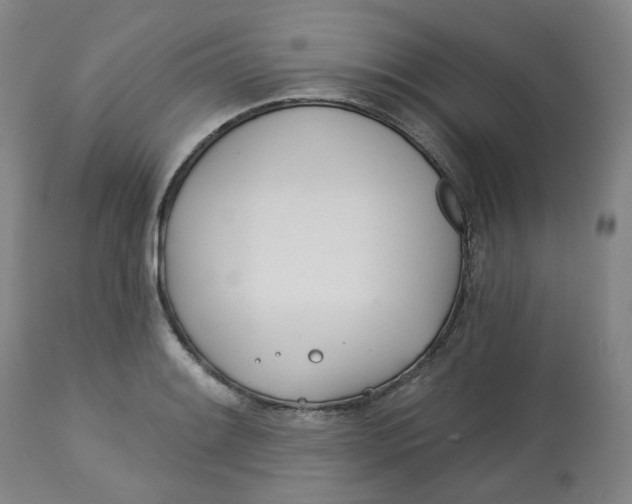 X0000112721084200909171059