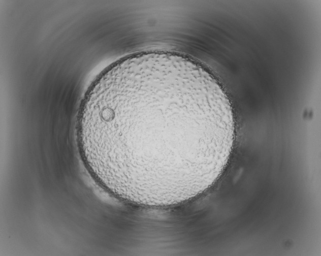 X0000112721086200909171059