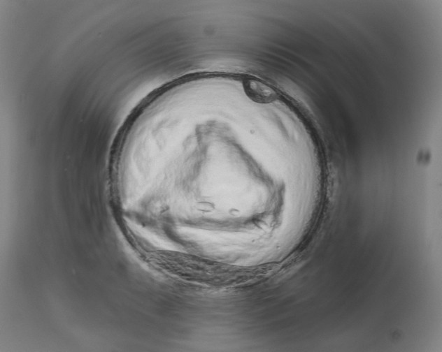 X0000112721087200909171059