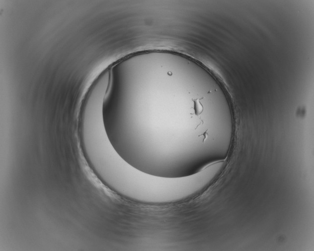 X0000112721088200909171059