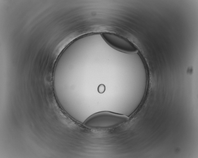 X0000112721089200909171059