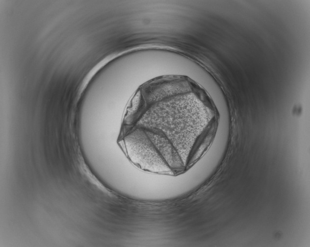 X0000112721092200909171058