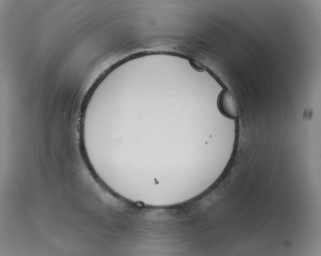 X0000112721093200909171058