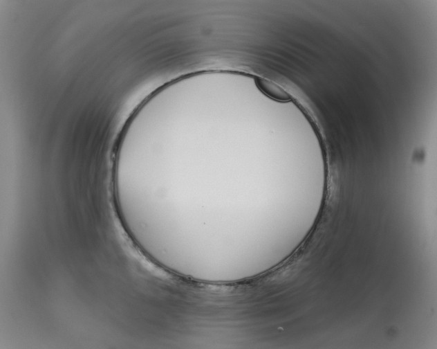 X0000112721096200909171058