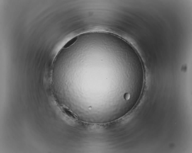 X0000112721097200909171058