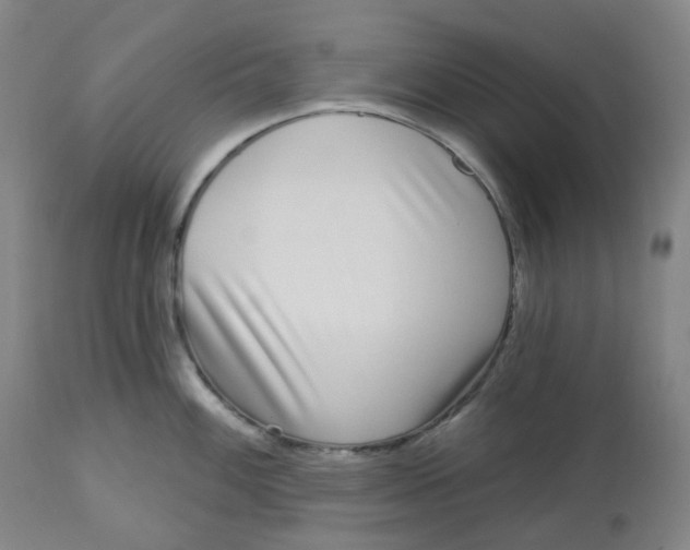 X0000112721100200909171058