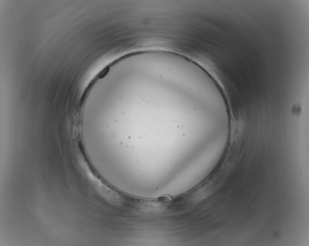 X0000112721101200909171058