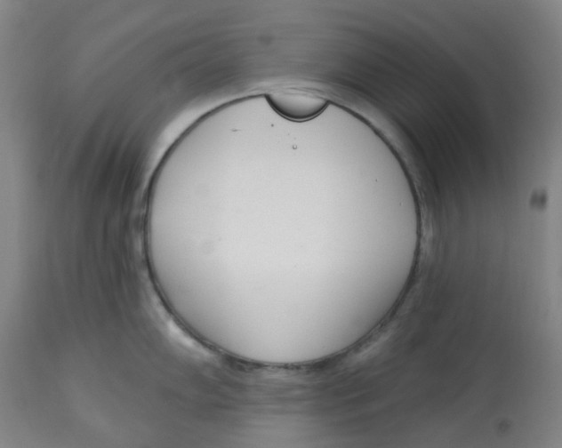 X0000112721102200909171058