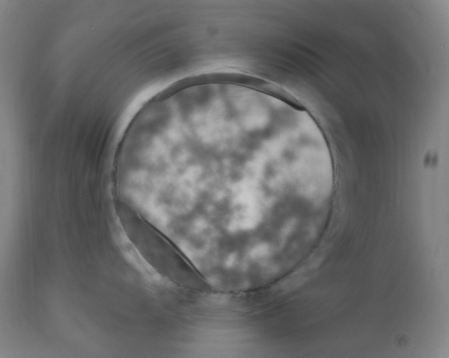 X0000112721104200909171058