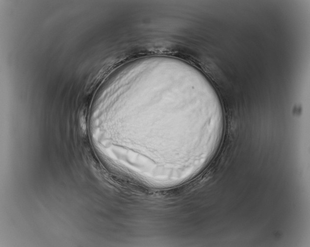 X0000112721106200909171058