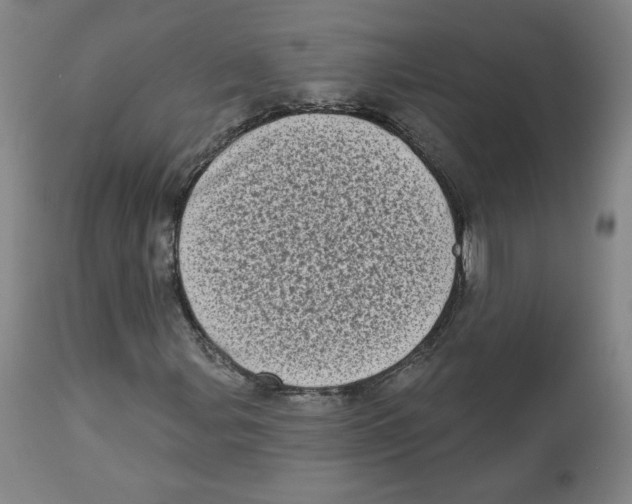 X0000112721107200909171058