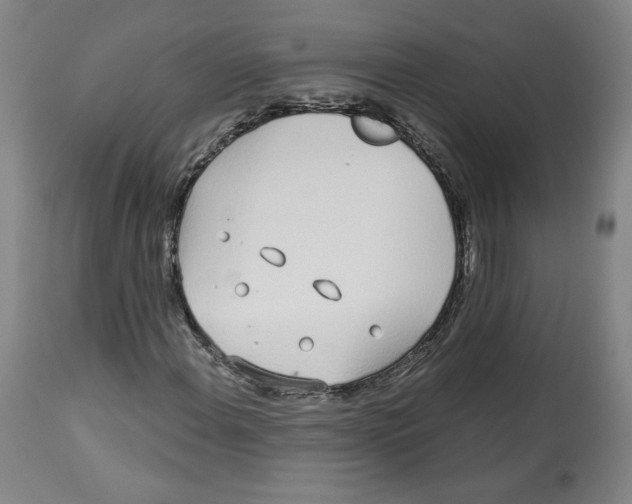 X0000112721108200909171058