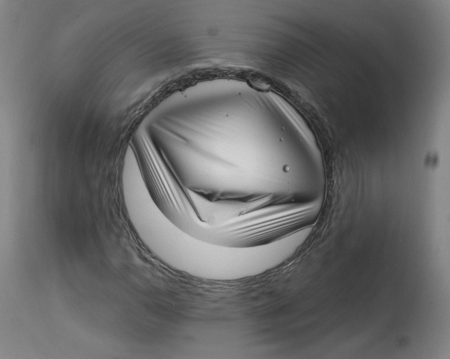 X0000112721110200909171058