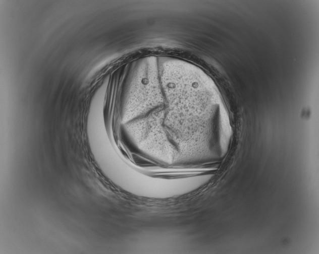 X0000112721112200909171058