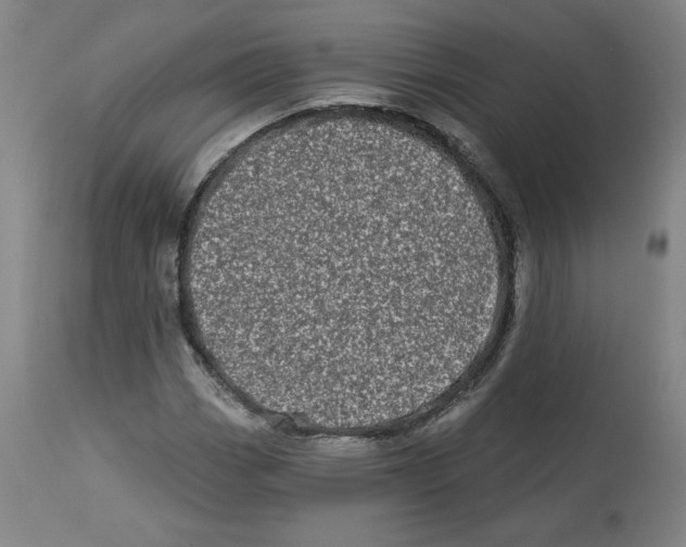 X0000112721113200909171058