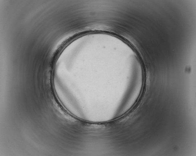 X0000112721115200909171058