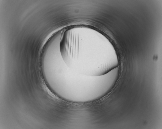 X0000112721116200909171058