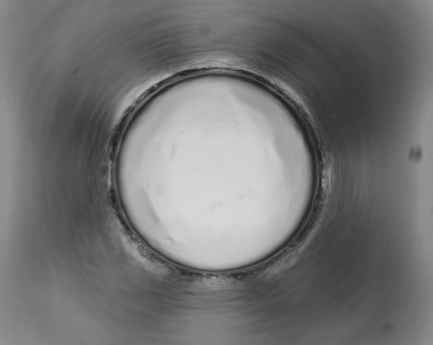 X0000112721117200909171058