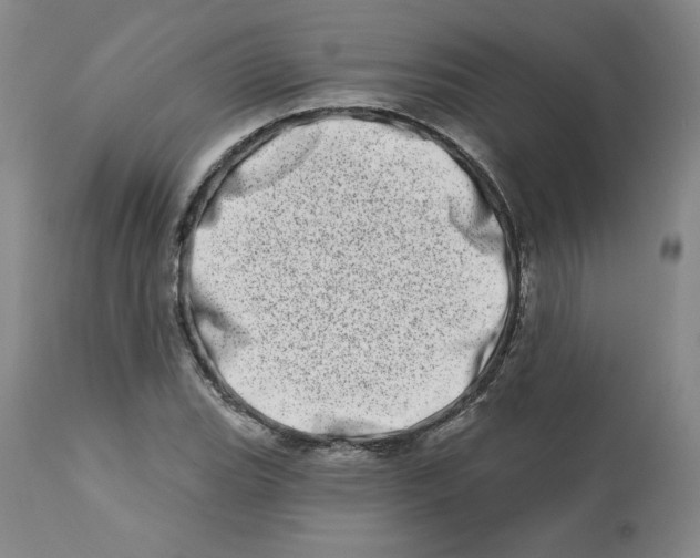 X0000112721119200909171058