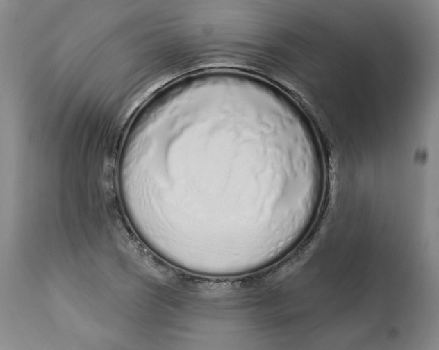 X0000112721121200909171058