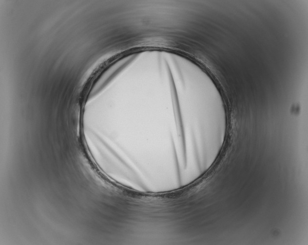 X0000112721123200909171058