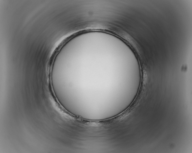 X0000112721124200909171058