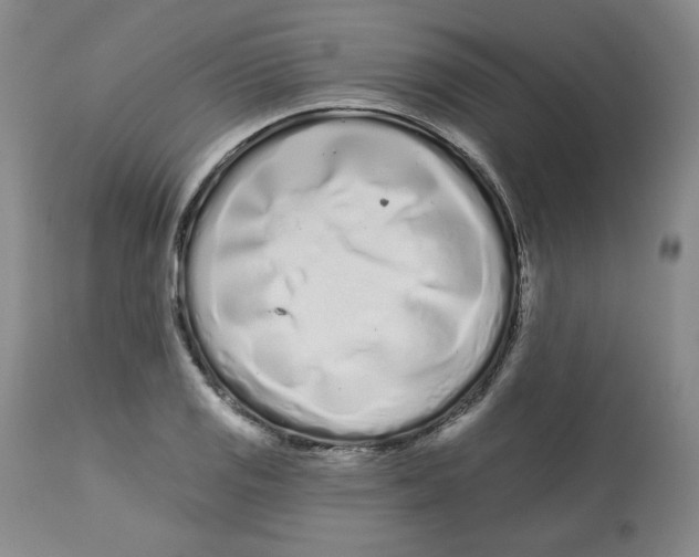 X0000112721125200909171058