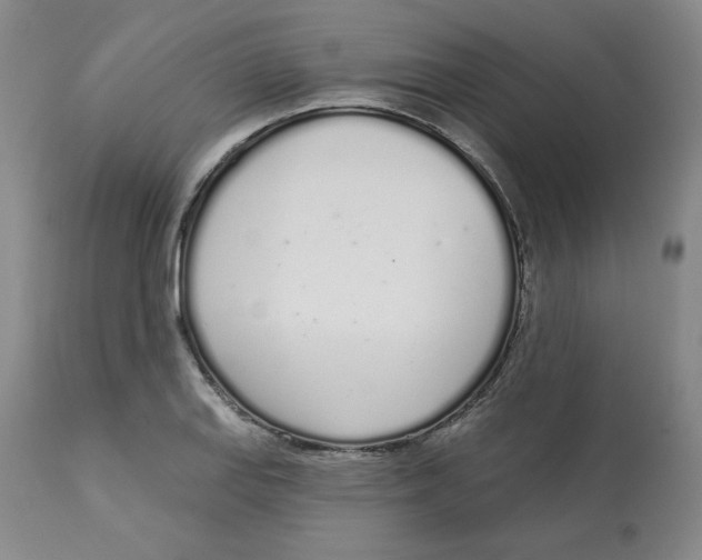 X0000112721127200909171058