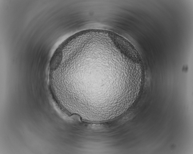 X0000112721128200909171058