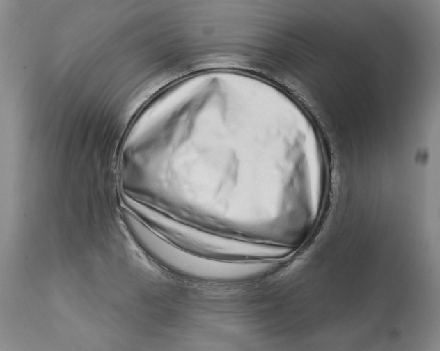 X0000112721129200909171058