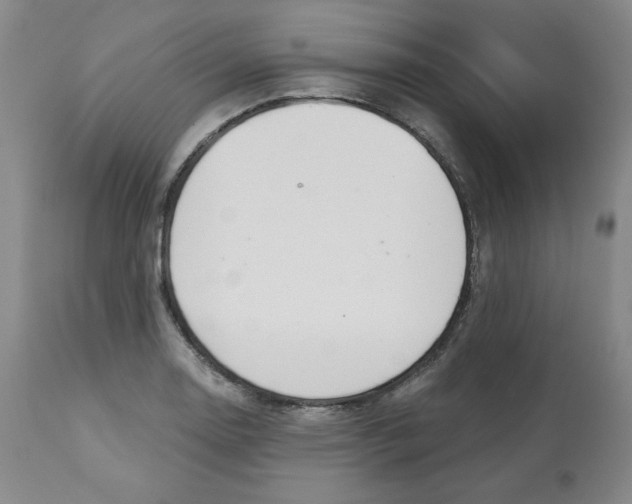 X0000112721130200909171058