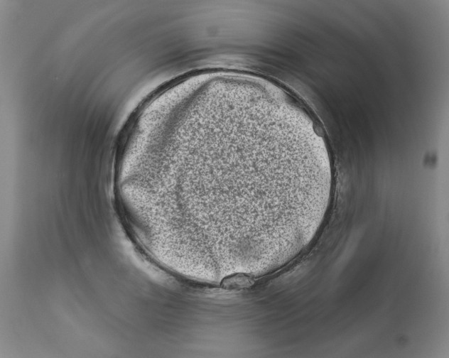 X0000112721131200909171058