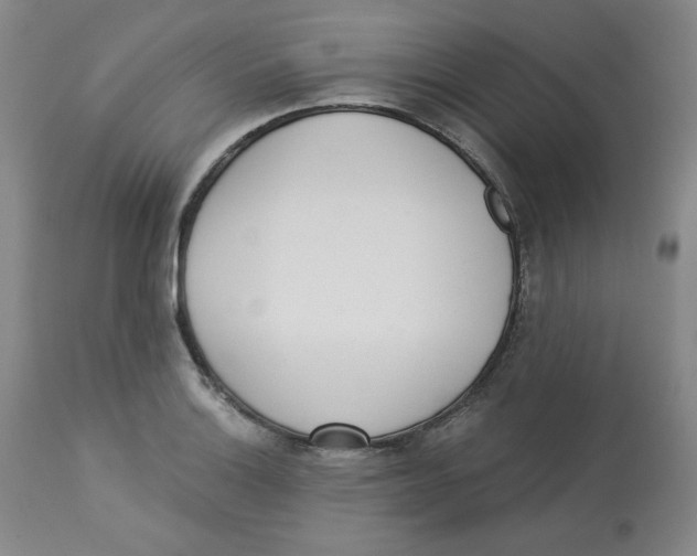 X0000112721132200909171058