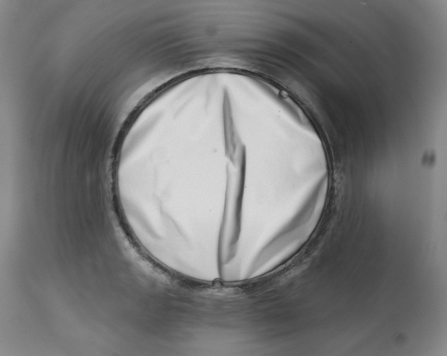 X0000112721133200909171058