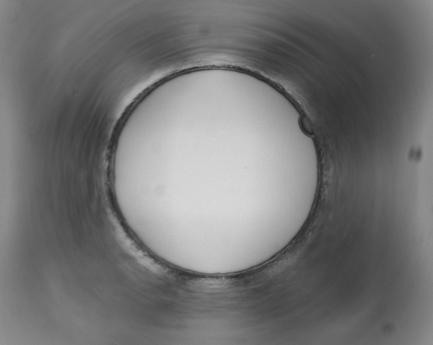 X0000112721134200909171058