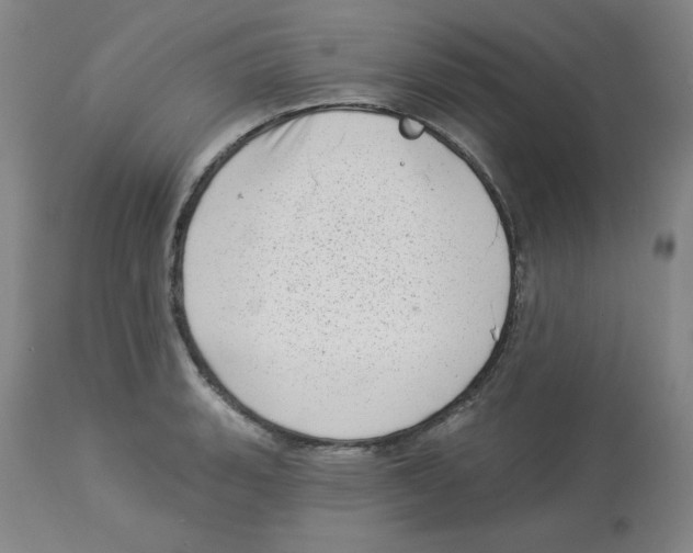 X0000112721135200909171058