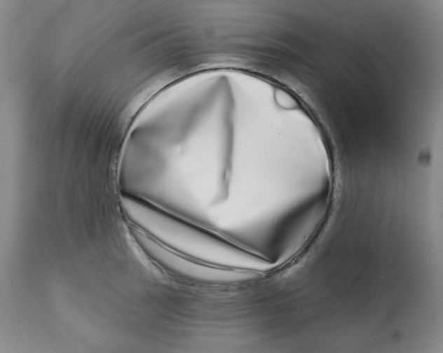 X0000112721137200909171058