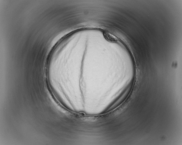 X0000112721141200909171058