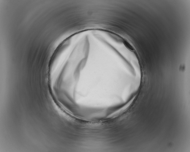 X0000112721143200909171058