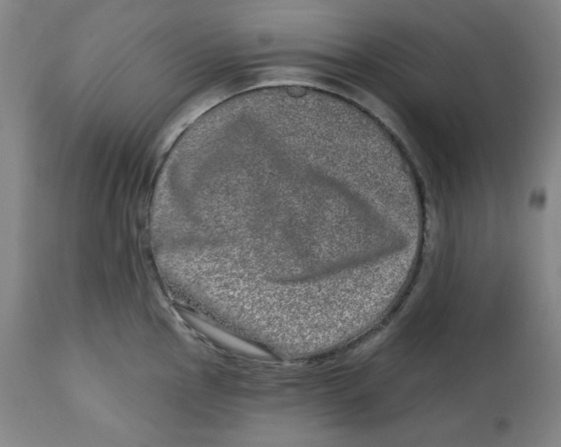 X0000112721145200909171058