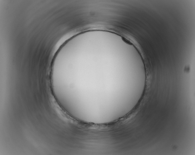 X0000112721146200909171058