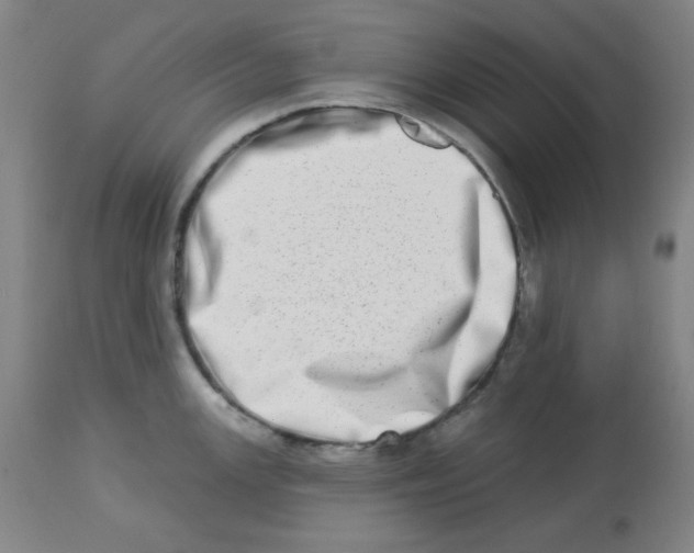 X0000112721147200909171058