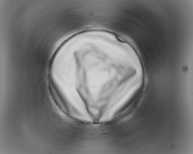 X0000112721149200909171058