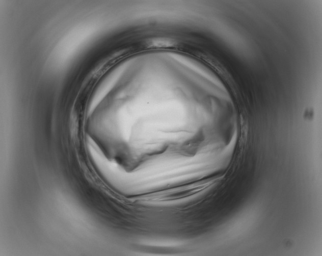 X0000112721151200909171058