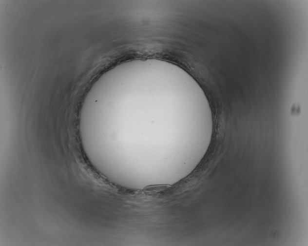 X0000112721153200909171058